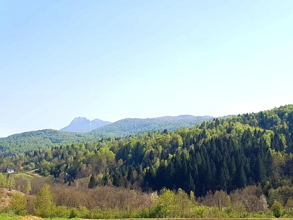 Apartman Gomirje Vrbovsko Zewnętrze zdjęcie
